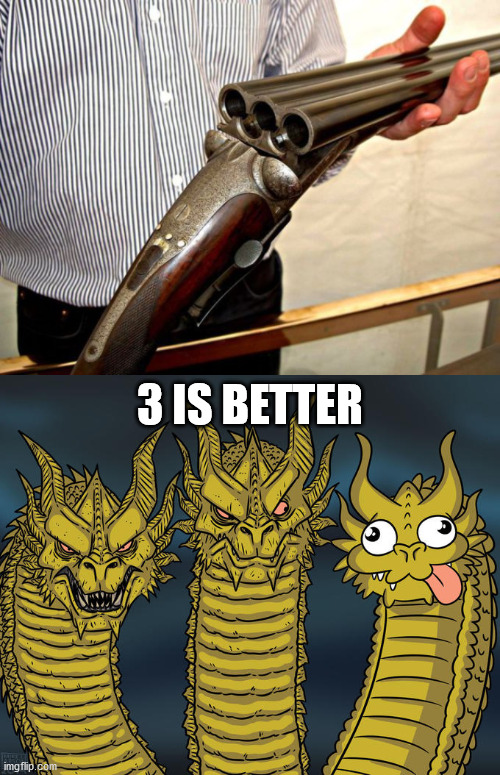 3 IS BETTER | image tagged in three-headed dragon,firearms | made w/ Imgflip meme maker