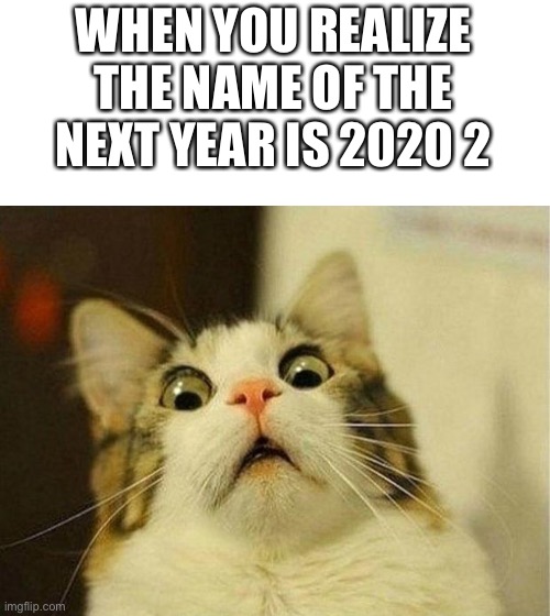 2020- the sequel |  WHEN YOU REALIZE THE NAME OF THE NEXT YEAR IS 2020 2 | image tagged in memes,scared cat,2020 sucks | made w/ Imgflip meme maker