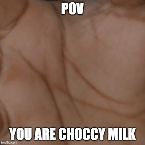 POV: You are Choccy Milk | POV; YOU ARE CHOCCY MILK | image tagged in choccy milk | made w/ Imgflip meme maker