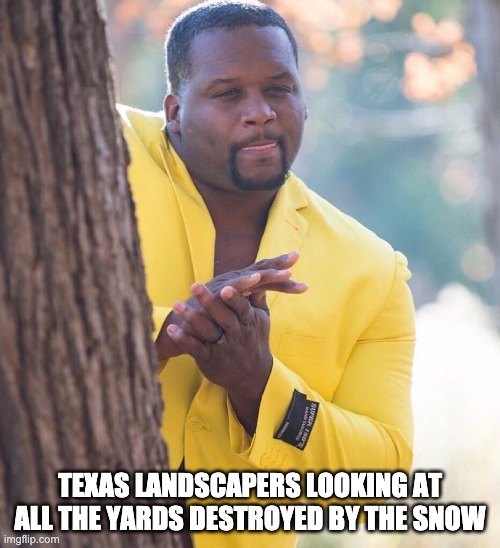 Black guy hiding behind tree | TEXAS LANDSCAPERS LOOKING AT ALL THE YARDS DESTROYED BY THE SNOW | image tagged in black guy hiding behind tree,texas | made w/ Imgflip meme maker