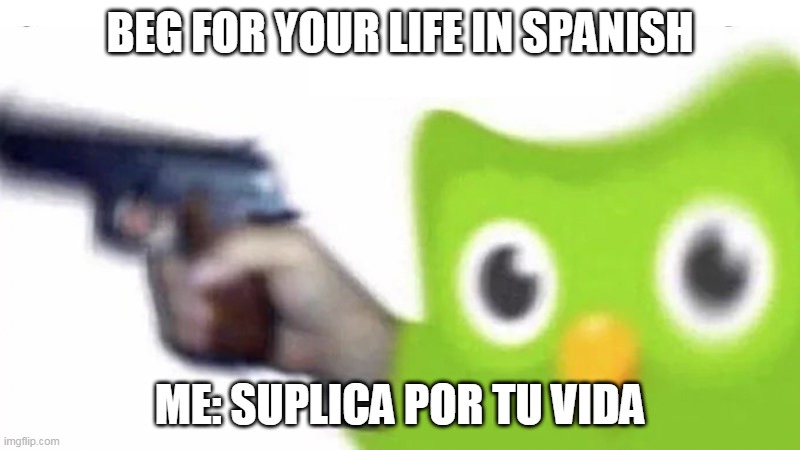 duolingo gun | BEG FOR YOUR LIFE IN SPANISH; ME: SUPLICA POR TU VIDA | image tagged in duolingo gun | made w/ Imgflip meme maker