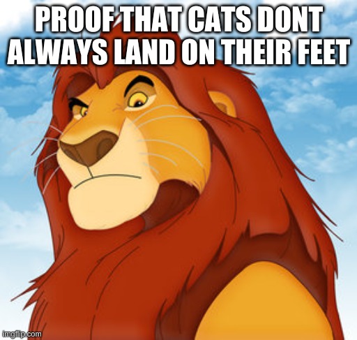 Mufasa | PROOF THAT CATS DONT ALWAYS LAND ON THEIR FEET | image tagged in mufasa | made w/ Imgflip meme maker