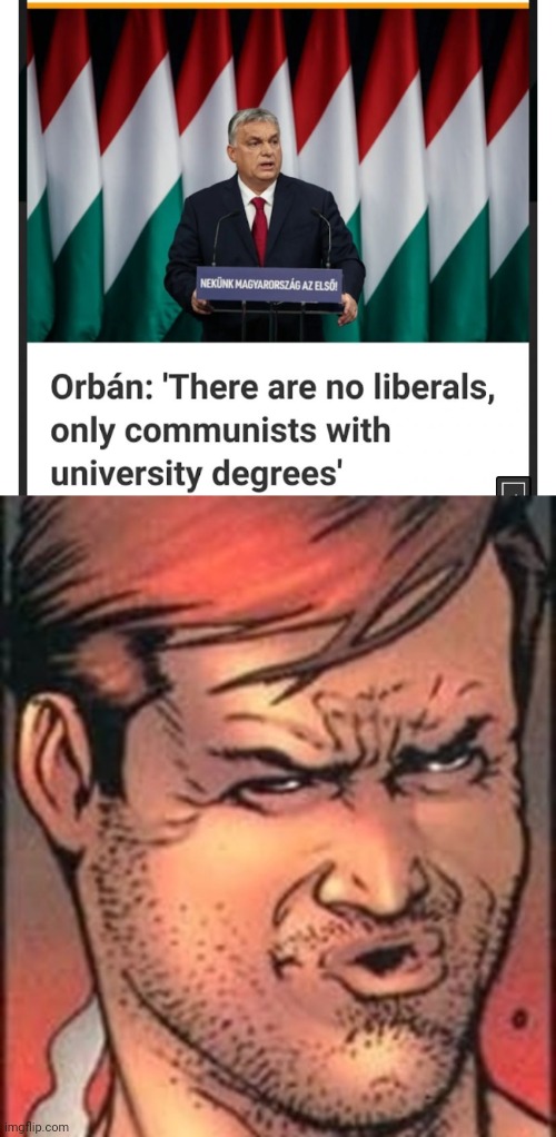 Politics and stuff | image tagged in funny memes | made w/ Imgflip meme maker