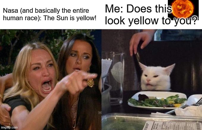 Woman Yelling At Cat | Nasa (and basically the entire human race): The Sun is yellow! Me: Does this look yellow to you? | image tagged in memes,woman yelling at cat | made w/ Imgflip meme maker