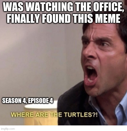 Where are the turtles |  WAS WATCHING THE OFFICE, FINALLY FOUND THIS MEME; SEASON 4, EPISODE 4 | image tagged in where are the turtles | made w/ Imgflip meme maker