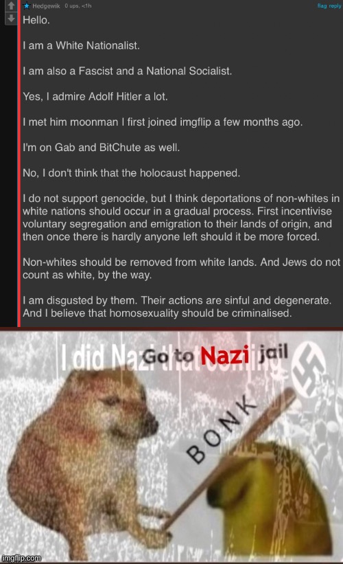 image tagged in whitenationalist cringe,go to nazi jail | made w/ Imgflip meme maker