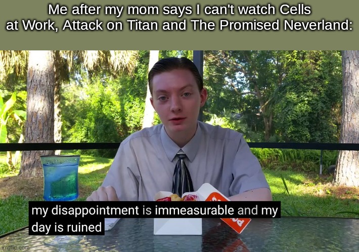 (mod note: i dont watch anime, but oof) | Me after my mom says I can't watch Cells at Work, Attack on Titan and The Promised Neverland: | image tagged in my disappointment is immeasurable | made w/ Imgflip meme maker