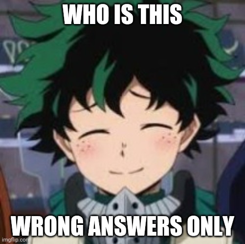 . | WHO IS THIS; WRONG ANSWERS ONLY | image tagged in deku wholesome smile | made w/ Imgflip meme maker
