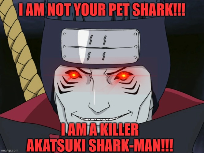 I AM NOT YOUR PET SHARK!!! I AM A KILLER AKATSUKI SHARK-MAN!!! | made w/ Imgflip meme maker