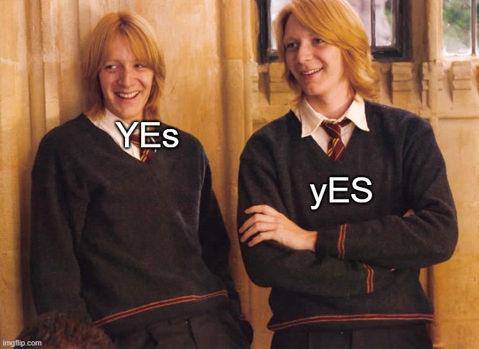 Fred and George Weasley laughing | YEs yES | image tagged in fred and george weasley laughing | made w/ Imgflip meme maker