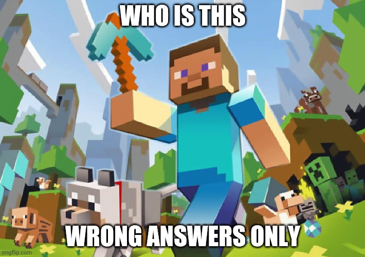 . | WHO IS THIS; WRONG ANSWERS ONLY | image tagged in minecraft | made w/ Imgflip meme maker