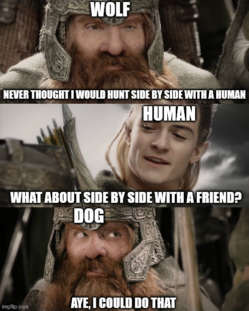Saw this one on reddit recently | WOLF; NEVER THOUGHT I WOULD HUNT SIDE BY SIDE WITH A HUMAN; HUMAN; WHAT ABOUT SIDE BY SIDE WITH A FRIEND? DOG; AYE, I COULD DO THAT | image tagged in aye i could do that blank | made w/ Imgflip meme maker