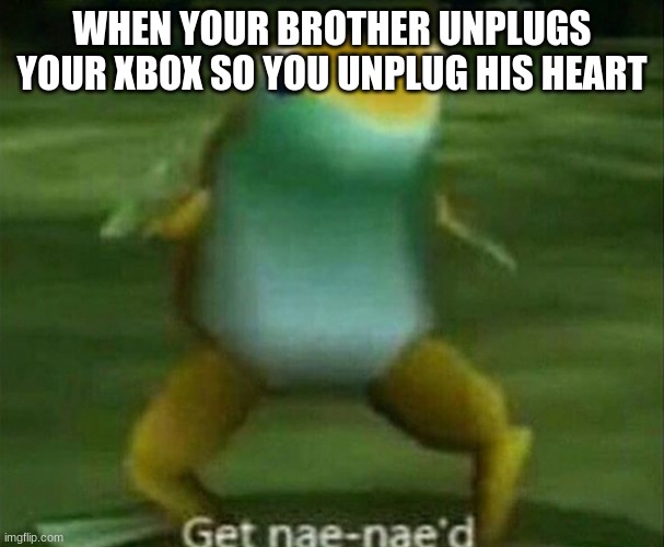 Get nae-nae'd | WHEN YOUR BROTHER UNPLUGS YOUR XBOX SO YOU UNPLUG HIS HEART | image tagged in get nae-nae'd | made w/ Imgflip meme maker