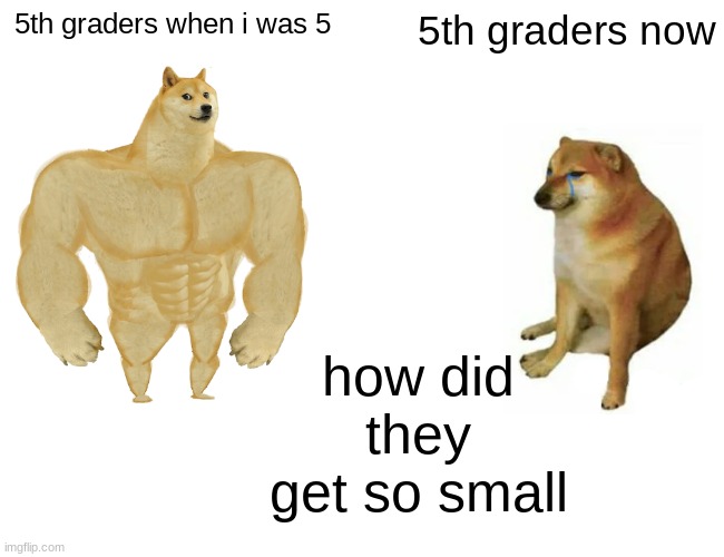 5th graders | 5th graders when i was 5; 5th graders now; how did they get so small | image tagged in memes,buff doge vs cheems | made w/ Imgflip meme maker