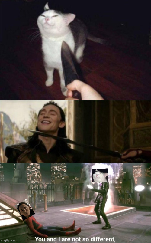 Loki and cat with knives at their necks. | image tagged in you and i are not so different,loki | made w/ Imgflip meme maker