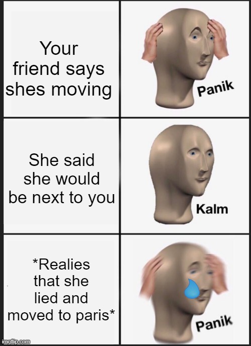 Panik Kalm Panik Meme | Your friend says shes moving; She said she would be next to you; *Realies that she lied and moved to paris* | image tagged in memes,panik kalm panik | made w/ Imgflip meme maker