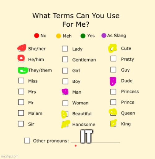 It | IT | image tagged in pronouns sheet | made w/ Imgflip meme maker