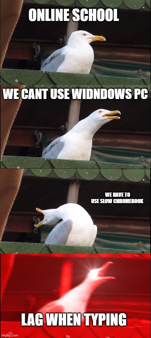 Inhaling Seagull | ONLINE SCHOOL; WE CANT USE WIDNDOWS PC; WE HAVE TO USE SLOW CHROMEBOOK; LAG WHEN TYPING | image tagged in memes,inhaling seagull | made w/ Imgflip meme maker