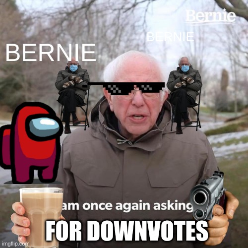 i have choccy milk and choccy milk sucks but it's yummy | BERNIE; BERNIE; FOR DOWNVOTES | image tagged in memes,bernie i am once again asking for your support | made w/ Imgflip meme maker