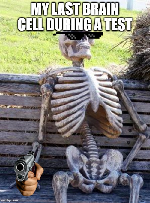 Waiting Skeleton | MY LAST BRAIN CELL DURING A TEST | image tagged in memes,waiting skeleton | made w/ Imgflip meme maker