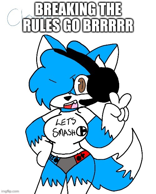 haha yes time to break rules | BREAKING THE RULES GO BRRRRR | image tagged in this is already a temp why did i make it a temp again | made w/ Imgflip meme maker