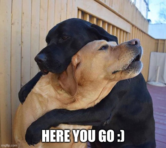 Emergency Hug | HERE YOU GO :) | image tagged in emergency hug | made w/ Imgflip meme maker