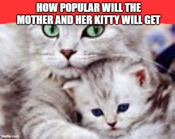 How popular will this meme will get?(͠≖ ͜ʖ͠≖) | HOW POPULAR WILL THE MOTHER AND HER KITTY WILL GET | image tagged in memes,popular | made w/ Imgflip meme maker