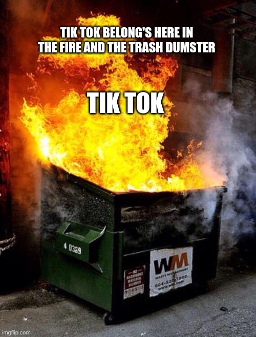 Tiktok sucks |  TIK TOK BELONG'S HERE IN THE FIRE AND THE TRASH DUMSTER; TIK TOK | image tagged in dumpster fire,tik tok sucks | made w/ Imgflip meme maker