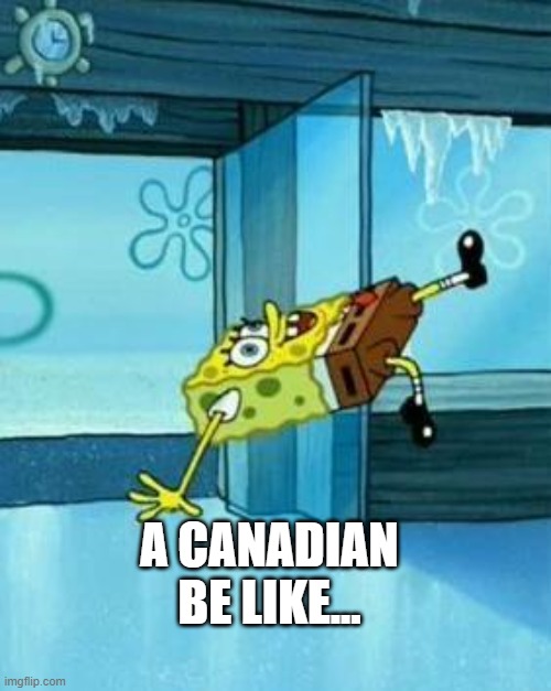 Spongebob Slipping | A CANADIAN BE LIKE... | image tagged in spongebob slipping | made w/ Imgflip meme maker