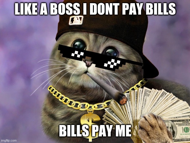 boss | LIKE A BOSS I DONT PAY BILLS; BILLS PAY ME | image tagged in like a boss | made w/ Imgflip meme maker