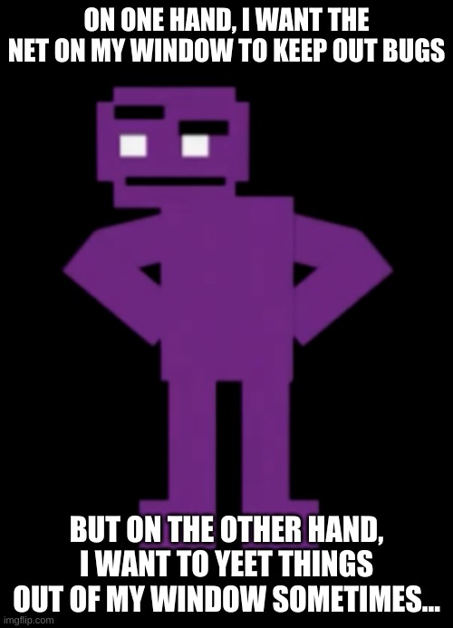 h m m | ON ONE HAND, I WANT THE NET ON MY WINDOW TO KEEP OUT BUGS; BUT ON THE OTHER HAND, I WANT TO YEET THINGS OUT OF MY WINDOW SOMETIMES... | image tagged in confused purple guy | made w/ Imgflip meme maker