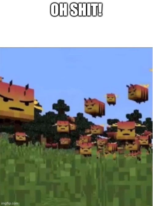 Angry Minecraft bees | OH SHIT! | image tagged in angry minecraft bees | made w/ Imgflip meme maker