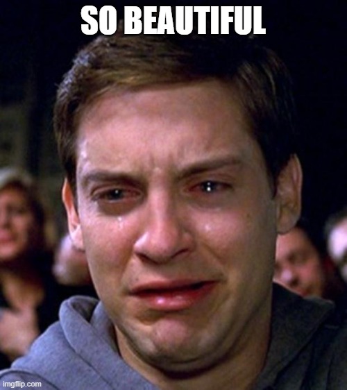 crying peter parker | SO BEAUTIFUL | image tagged in crying peter parker | made w/ Imgflip meme maker