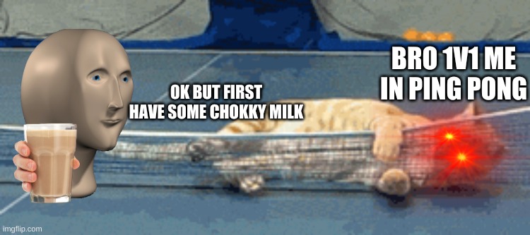 Ping pong | OK BUT FIRST HAVE SOME CHOKKY MILK; BRO 1V1 ME IN PING PONG | image tagged in ping pong cat,chokky milk | made w/ Imgflip meme maker