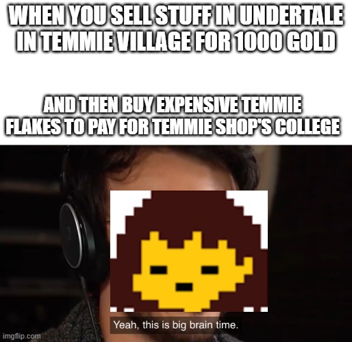 big brain temmie | WHEN YOU SELL STUFF IN UNDERTALE IN TEMMIE VILLAGE FOR 1000 GOLD; AND THEN BUY EXPENSIVE TEMMIE FLAKES TO PAY FOR TEMMIE SHOP'S COLLEGE | image tagged in yeah this is big brain time | made w/ Imgflip meme maker