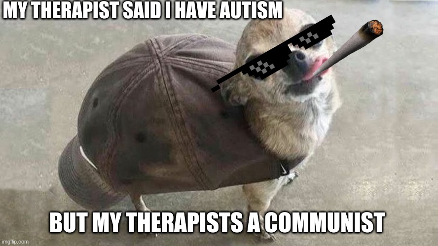 life | MY THERAPIST SAID I HAVE AUTISM; BUT MY THERAPISTS A COMMUNIST | image tagged in thug life | made w/ Imgflip meme maker