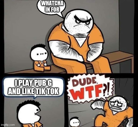 Dude wtf | WHATCHA IN FOR; I PLAY PUB G AND LIKE TIK TOK | image tagged in dude wtf | made w/ Imgflip meme maker