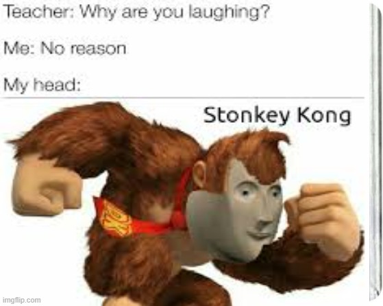 lmao | image tagged in funny | made w/ Imgflip meme maker