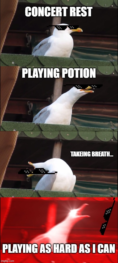 Inhaling Seagull Meme | CONCERT REST; PLAYING POTION; TAKEING BREATH... PLAYING AS HARD AS I CAN | image tagged in memes,inhaling seagull | made w/ Imgflip meme maker