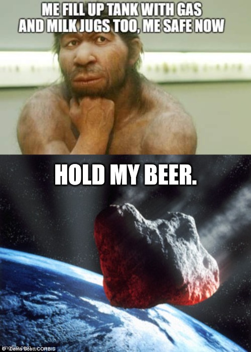 REAL TALK!!!!!!!!!!! |  HOLD MY BEER. | image tagged in asteroid | made w/ Imgflip meme maker