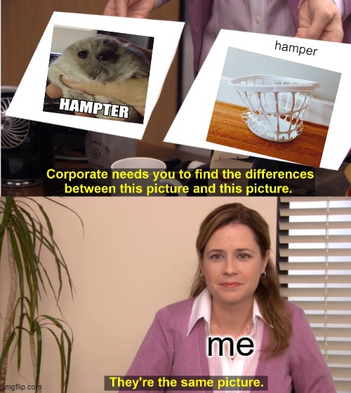 They're The Same Picture Meme | hamper; me | image tagged in memes,they're the same picture | made w/ Imgflip meme maker