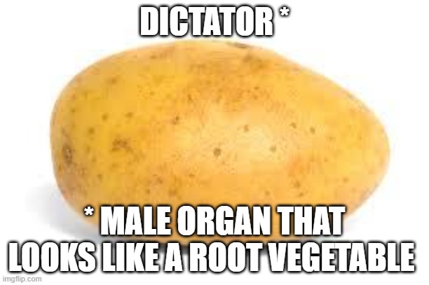 I THOUGHT IT MEANT SOMETHING ELSE | DICTATOR *; * MALE ORGAN THAT LOOKS LIKE A ROOT VEGETABLE | image tagged in potato | made w/ Imgflip meme maker