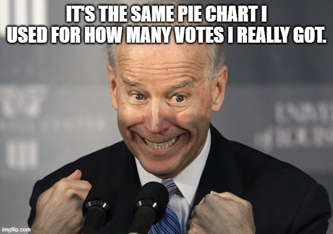 IT'S THE SAME PIE CHART I USED FOR HOW MANY VOTES I REALLY GOT. | made w/ Imgflip meme maker