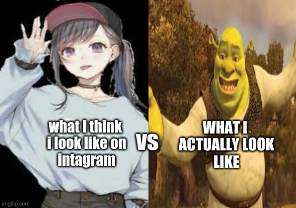 what I think 
i look like on
intagram; WHAT I 
ACTUALLY LOOK
LIKE; vs | image tagged in memes,fun | made w/ Imgflip meme maker