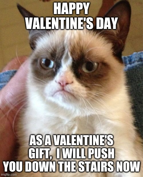 Valentine's Day Cat | HAPPY VALENTINE'S DAY; AS A VALENTINE'S GIFT,  I WILL PUSH YOU DOWN THE STAIRS NOW | image tagged in memes,grumpy cat,valentine's day,emu | made w/ Imgflip meme maker