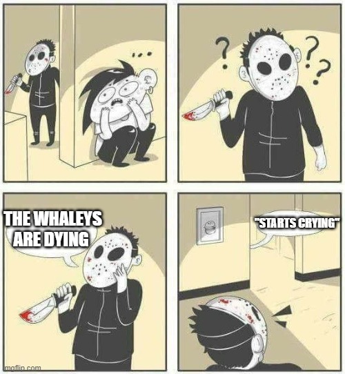 Hiding from serial killer comic | "STARTS CRYING"; THE WHALEYS ARE DYING | image tagged in hiding from serial killer comic | made w/ Imgflip meme maker