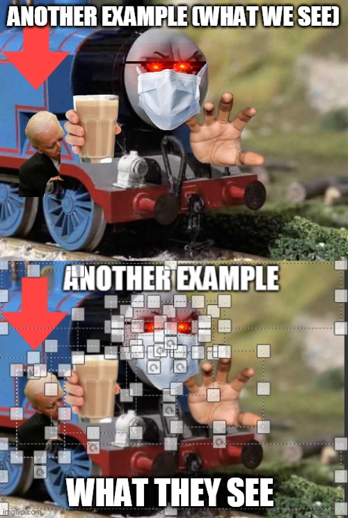 ANOTHER EXAMPLE (WHAT WE SEE) WHAT THEY SEE | image tagged in angry thomas | made w/ Imgflip meme maker