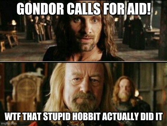 Gondor calls for aid | GONDOR CALLS FOR AID! WTF THAT STUPID HOBBIT ACTUALLY DID IT | image tagged in gondor calls for aid | made w/ Imgflip meme maker