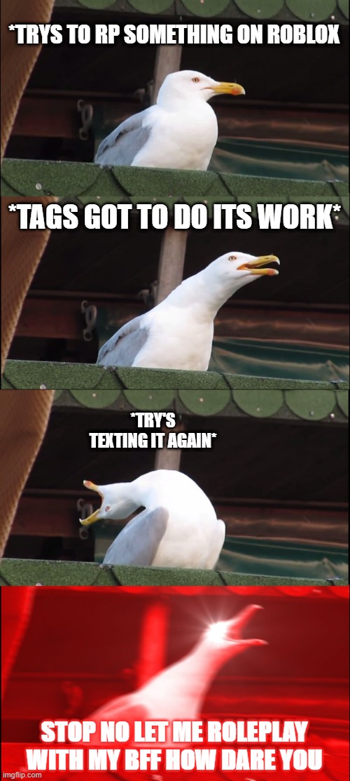Inhaling Seagull Meme | *TRYS TO RP SOMETHING ON ROBLOX; *TAGS GOT TO DO ITS WORK*; *TRY'S TEXTING IT AGAIN*; STOP NO LET ME ROLEPLAY WITH MY BFF HOW DARE YOU | image tagged in memes,inhaling seagull | made w/ Imgflip meme maker