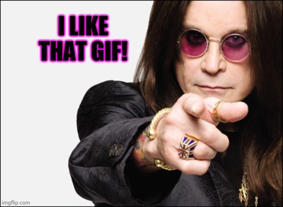 Ozzy pointing | I LIKE THAT GIF! | image tagged in ozzy pointing | made w/ Imgflip meme maker